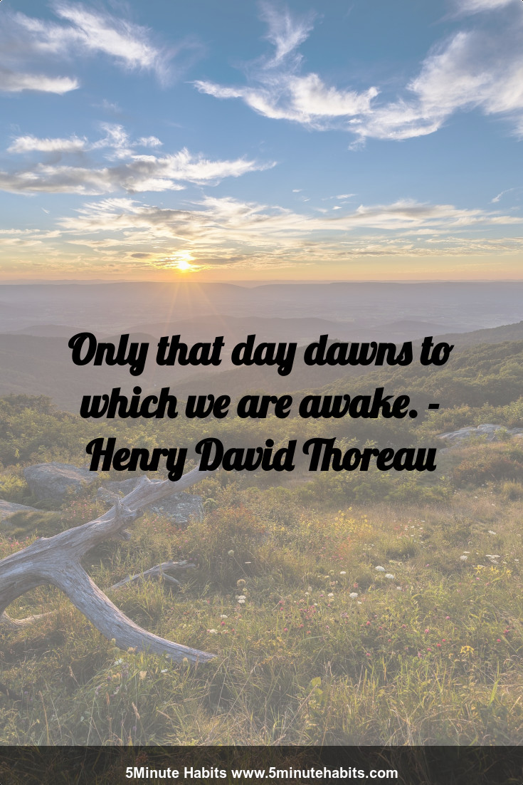 Only that day dawns to which we are awake. - Henry David Thoreau